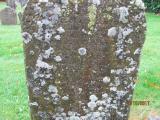 image of grave number 711215